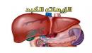 أسباب ارتفاع انزيمات الكبد