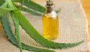 فوائد زيت الصبار للبشرة: هل يعالج حب الشباب؟