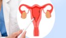 ما هو علاج بطانة الرحم المهاجرة بالاعشاب