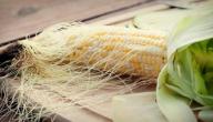 ما هي فوائد شعر الذرة