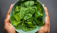 فوائد السبانخ للشعر
