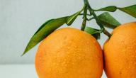فوائد البرتقال للجسم