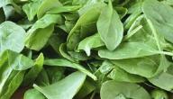 فوائد السبانخ للبشرة