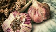 فوائد الثوم على الريق