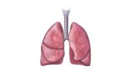 اسباب جلطة الرئة