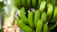 فوائد الموز الاخضر