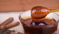 فوائد القرفة والعسل على الريق فوائد القرفة والعسل على الريق