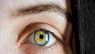 ما هي أجزاء العين؟ وما وظائفها؟