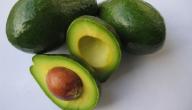 فوائد الافوكادو