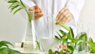 علاج التهاب الغدة الدرقية بالاعشاب علاج التهاب الغدة الدرقية بالاعشاب