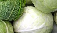 فوائد الملفوف الأبيض