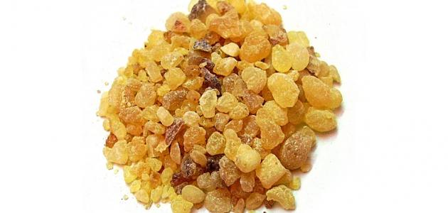 فوائد لبان الذكر