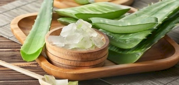 طريقة استخدام جل الصبار للشعر