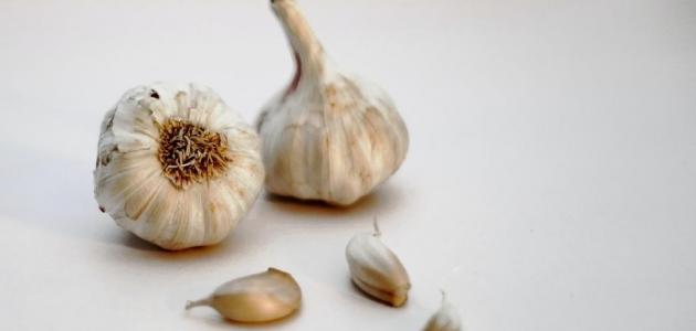 فوائد الثوم لحب الشباب