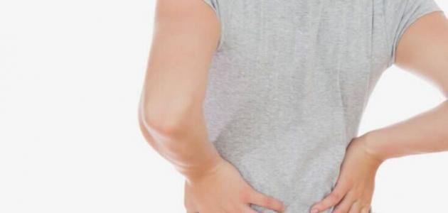 كم عدد فقرات الظهر