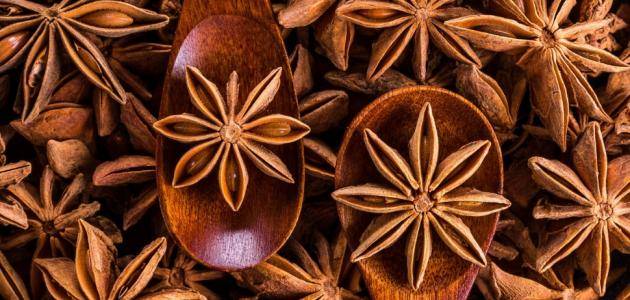 فوائد اليانسون للبطن