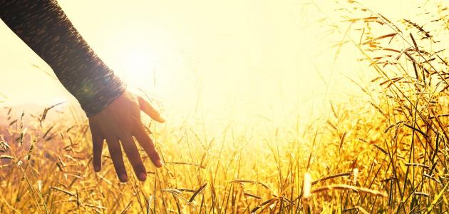 علاج تنميل الأطراف