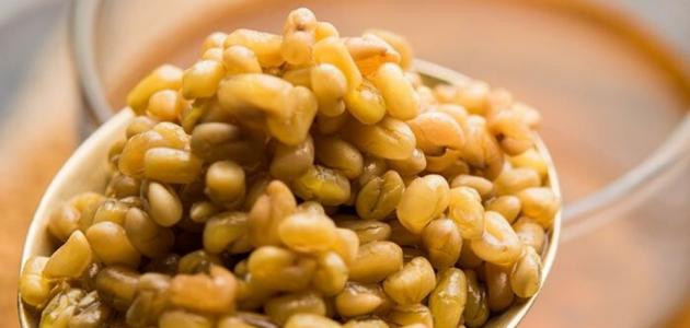 فوائد الحلبة للرحم