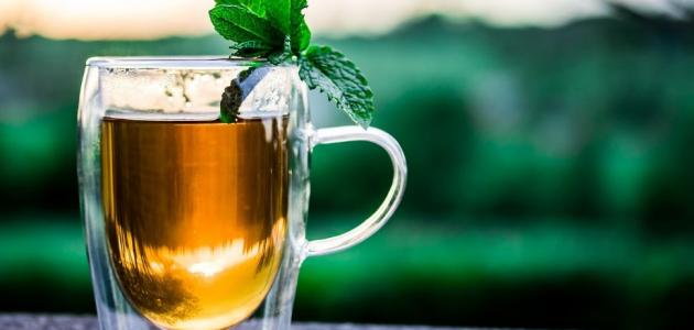 البابونج والنعناع: أعشاب منذ منذ القدم