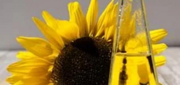 ما هي فوائد زيت دوار الشمس للشعر؟