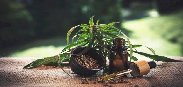 زيت القنب: ما فوائده؟