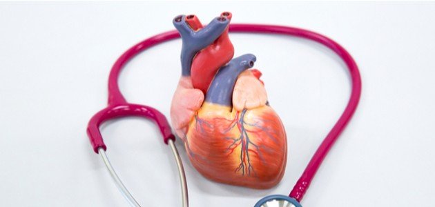صمامات القلب الأربعة: وظائفها ونصائح للوقاية من أمراضها
