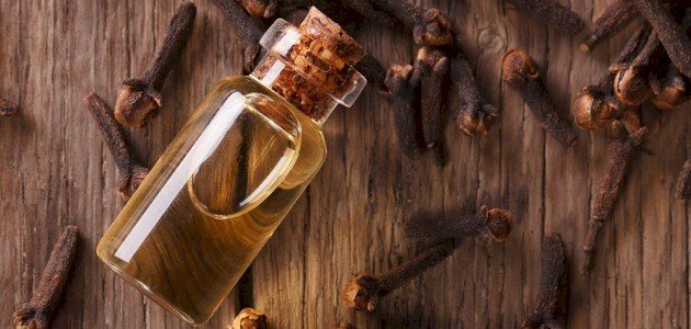 فوائد زيت القرنفل وأضراره: للجسم والوجه والشعر